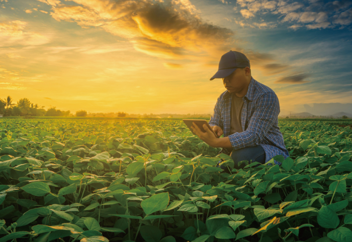 Agriculture